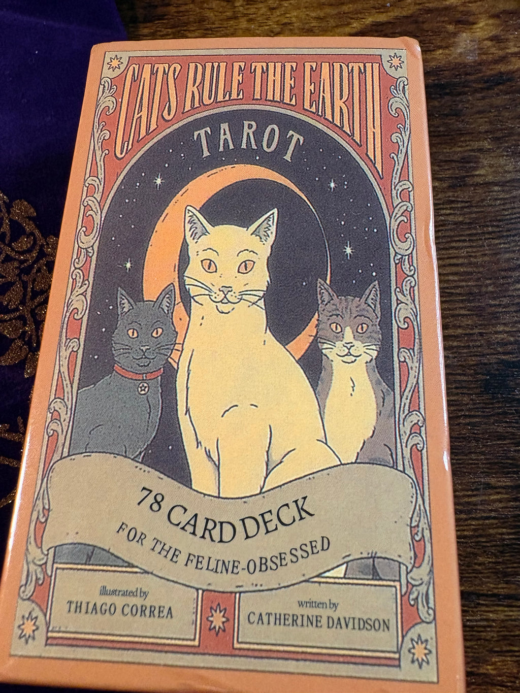 Tarot of Pagan Cats Deck with Velvet Tree of Life Tarot Bag – 78 Card Tarot Set