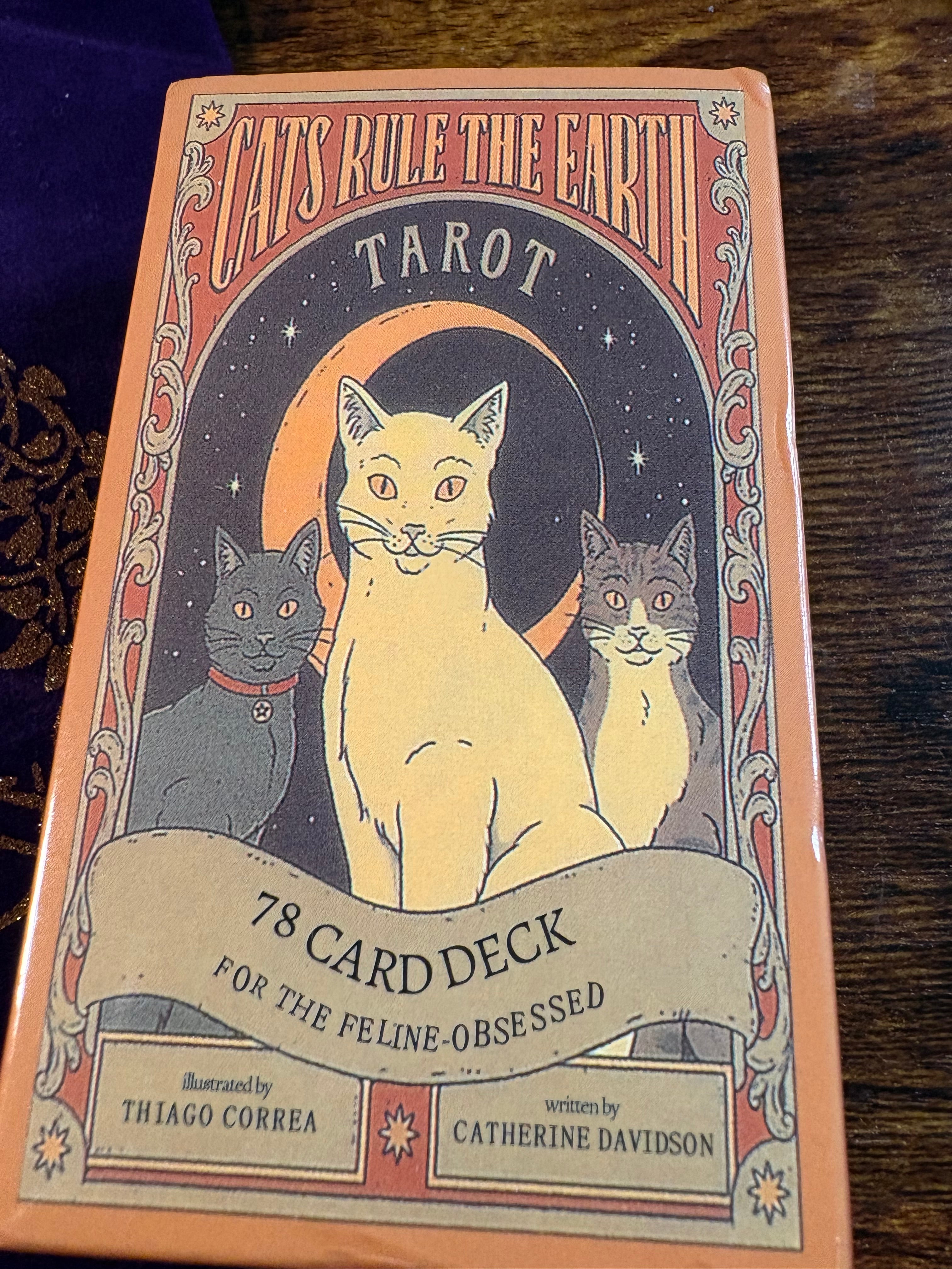 Tarot of Pagan Cats Deck with Velvet Tree of Life Tarot Bag – 78 Card Tarot Set