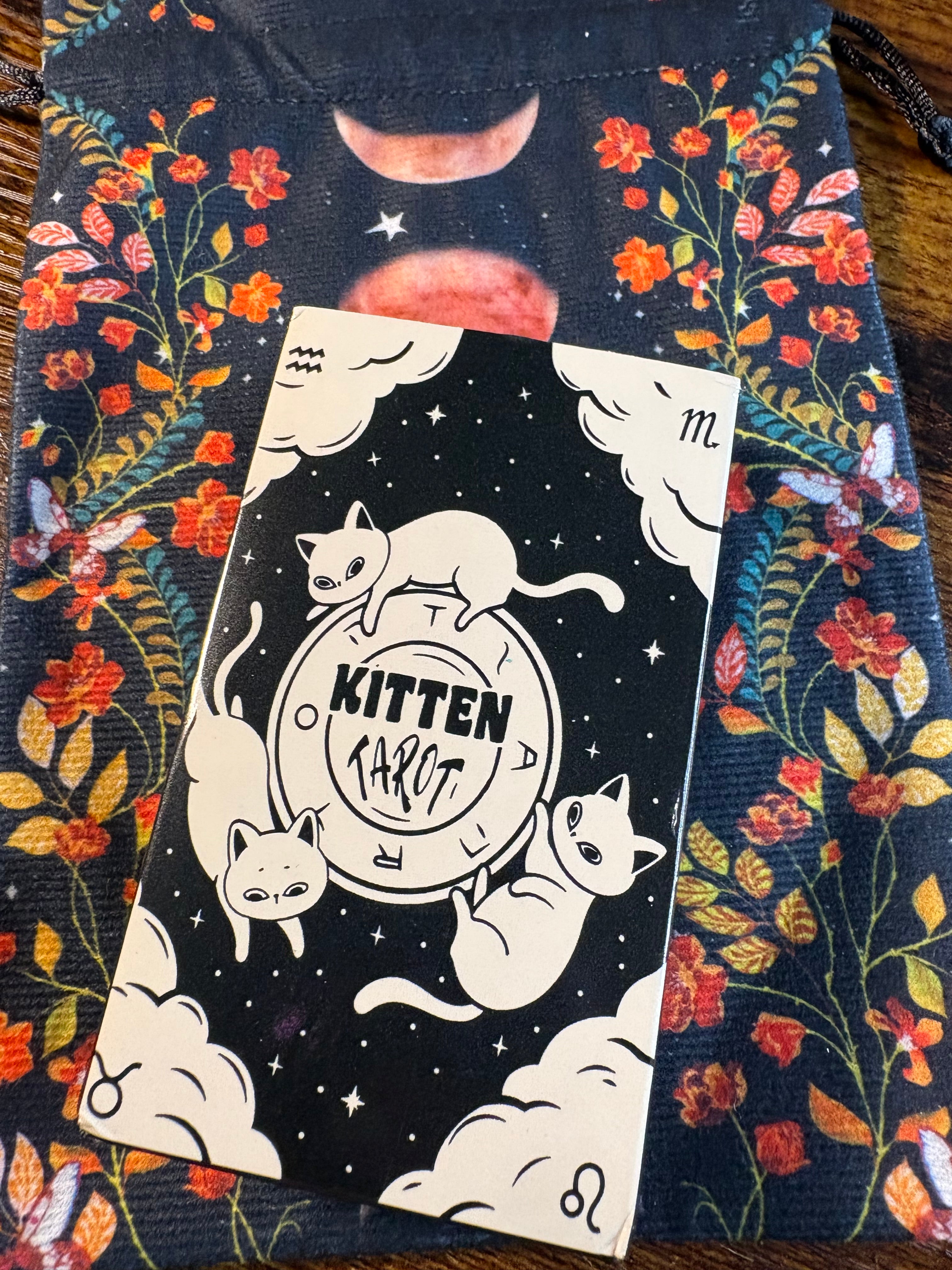 Tarot of Pagan Cats & Kitten Tarot Deck Bundle with Velvet Moon Phase Storage Bag