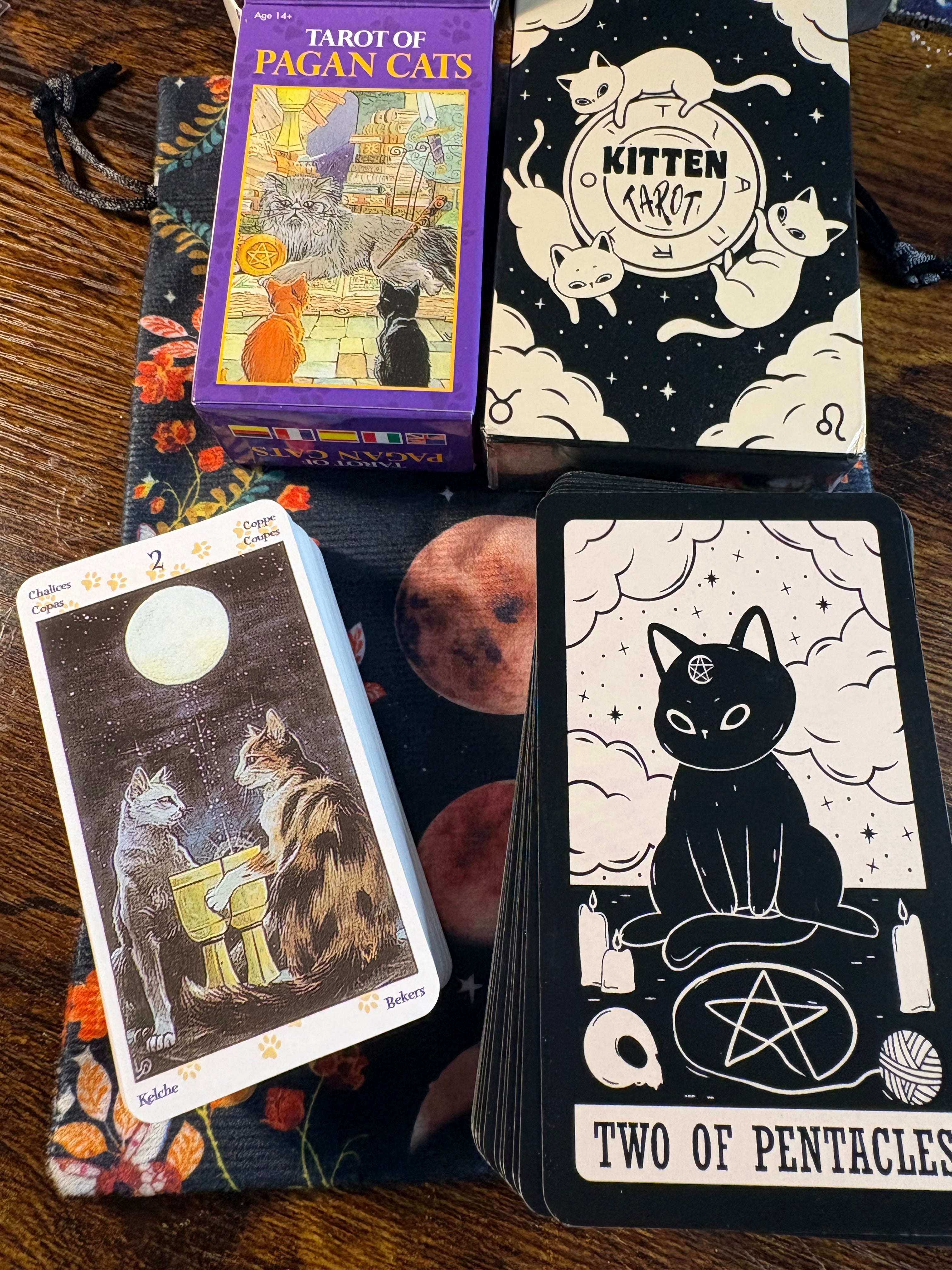 Tarot of Pagan Cats & Kitten Tarot Deck Bundle with Velvet Moon Phase Storage Bag